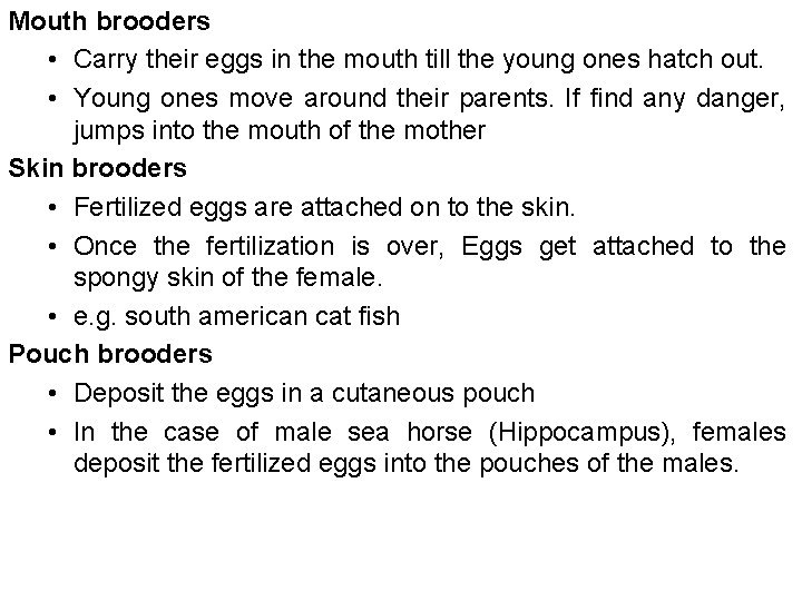 Mouth brooders • Carry their eggs in the mouth till the young ones hatch