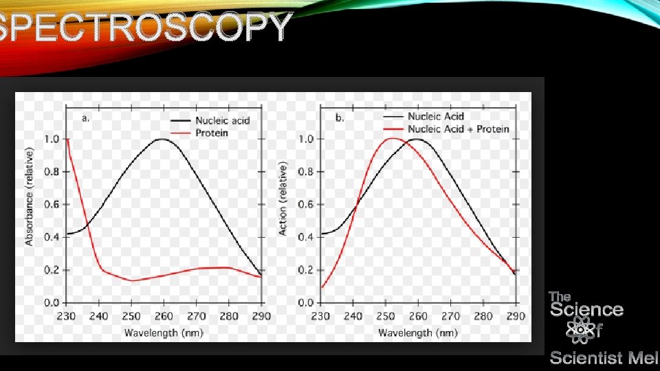 SPECTROSCOPY 