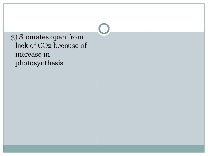 3) Stomates open from lack of CO 2 because of increase in photosynthesis 