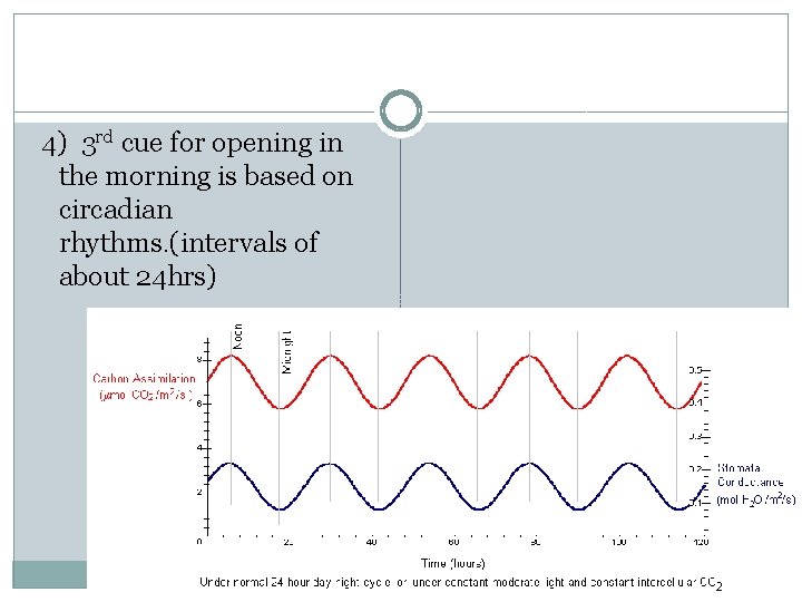 4) 3 rd cue for opening in the morning is based on circadian rhythms.