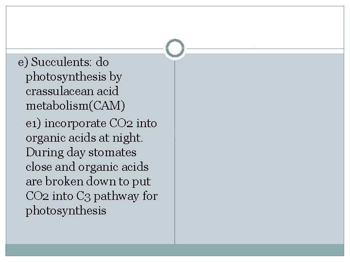 e) Succulents: do photosynthesis by crassulacean acid metabolism(CAM) e 1) incorporate CO 2 into