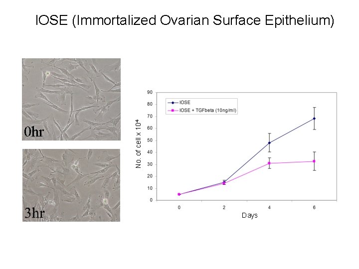 0 hr No. of cell x 104 IOSE (Immortalized Ovarian Surface Epithelium) Days 0 hr No. of cell x 104 IOSE (Immortalized Ovarian Surface Epithelium) Days