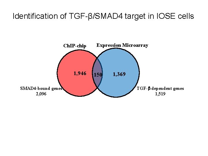 Identification of TGF-β/SMAD 4 target in IOSE cells Ch. IP-chip 1, 946 SMAD 4 Identification of TGF-β/SMAD 4 target in IOSE cells Ch. IP-chip 1, 946 SMAD 4