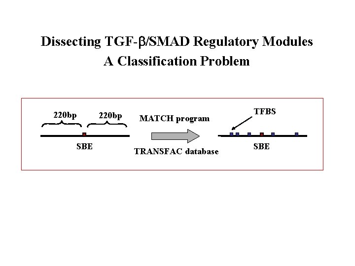 Dissecting TGF- /SMAD Regulatory Modules A Classification Problem 220 bp SBE 220 bp MATCH Dissecting TGF- /SMAD Regulatory Modules A Classification Problem 220 bp SBE 220 bp MATCH