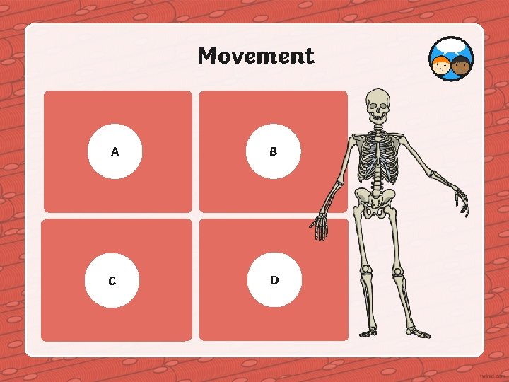 Movement How do skeletons A move the body? Can you tell your B move
