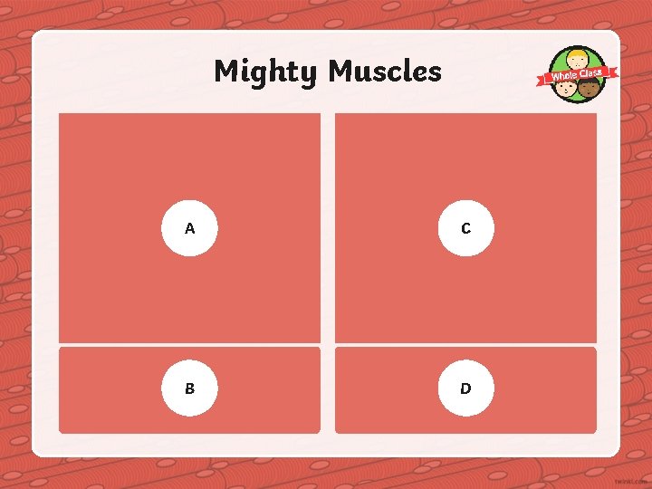 Mighty Muscles A C Skeletal muscles are attached to B bones and enable movement.