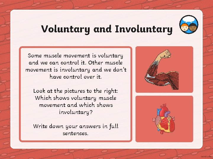 Voluntary and Involuntary Some muscle movement is voluntary and we can control it. Other