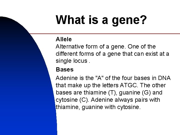 What is a gene? Allele Alternative form of a gene. One of the different