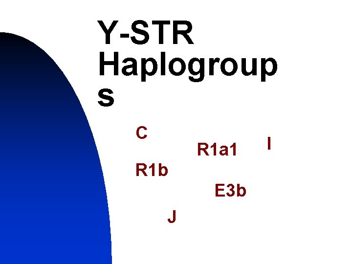 Y-STR Haplogroup s C R 1 a 1 R 1 b E 3 b