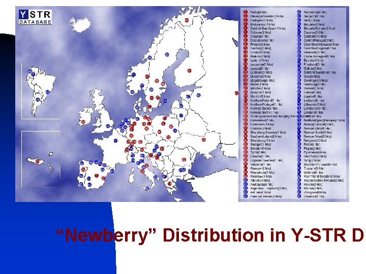 “Newberry” Distribution in Y-STR Db 