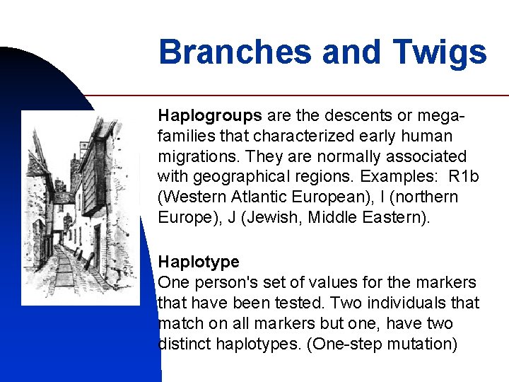 Branches and Twigs Haplogroups are the descents or megafamilies that characterized early human migrations.
