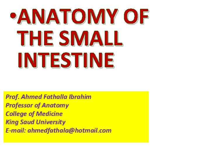  • ANATOMY OF THE SMALL INTESTINE Prof. Ahmed Fathalla Ibrahim Professor of Anatomy