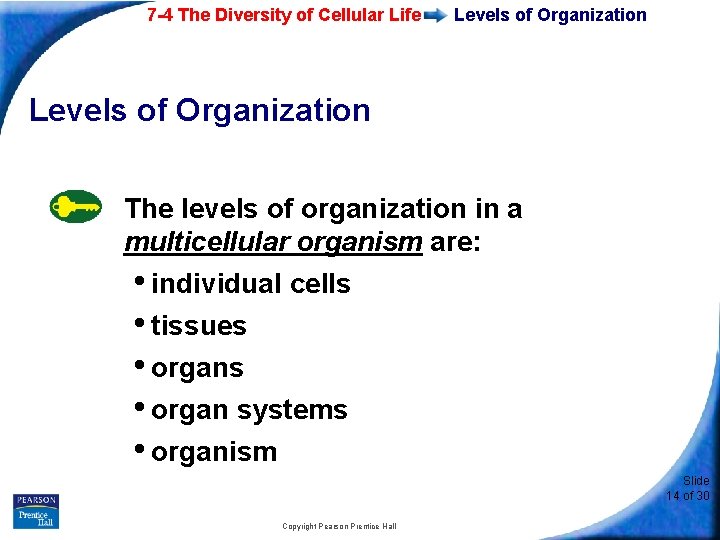 7 -4 The Diversity of Cellular Life Levels of Organization The levels of organization