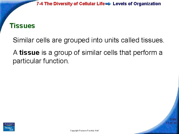7 -4 The Diversity of Cellular Life Levels of Organization Tissues Similar cells are
