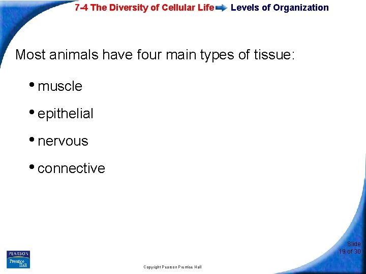 7 -4 The Diversity of Cellular Life Levels of Organization Most animals have four