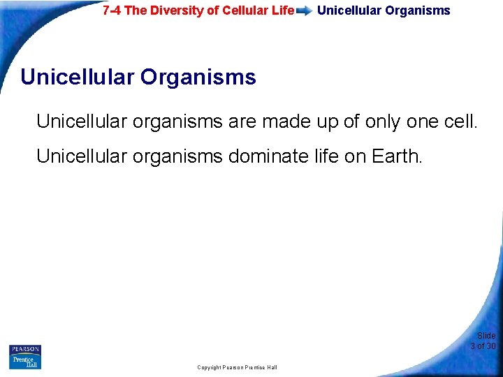 7 -4 The Diversity of Cellular Life Unicellular Organisms Unicellular organisms are made up
