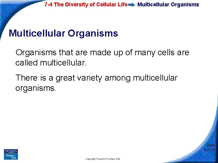 7 -4 The Diversity of Cellular Life Multicellular Organisms that are made up of