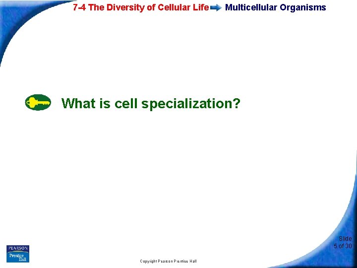 7 -4 The Diversity of Cellular Life Multicellular Organisms What is cell specialization? Slide