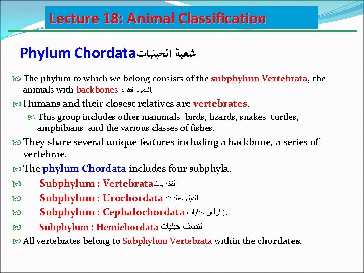 Lecture 18: Animal Classification Phylum Chordata ﺷﻌﺒﺔ ﺍﻟﺤﺒﻠﻴﺎﺕ The phylum to which we belong Lecture 18: Animal Classification Phylum Chordata ﺷﻌﺒﺔ ﺍﻟﺤﺒﻠﻴﺎﺕ The phylum to which we belong
