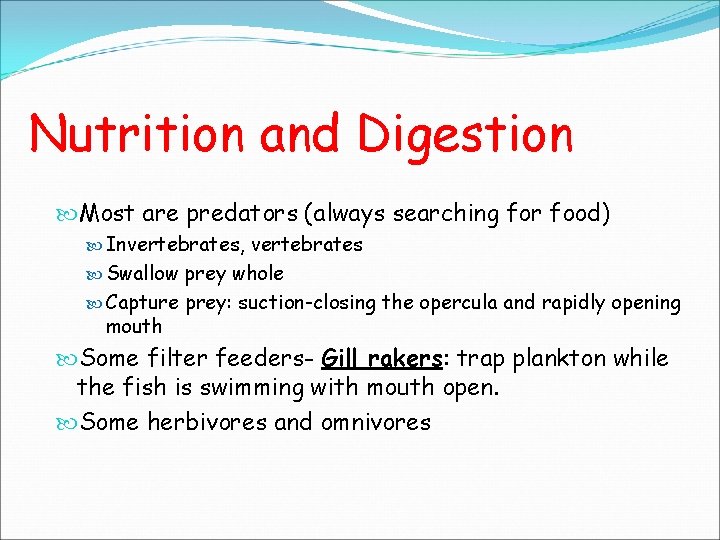 Nutrition and Digestion Most are predators (always searching for food) Invertebrates, vertebrates Swallow prey Nutrition and Digestion Most are predators (always searching for food) Invertebrates, vertebrates Swallow prey