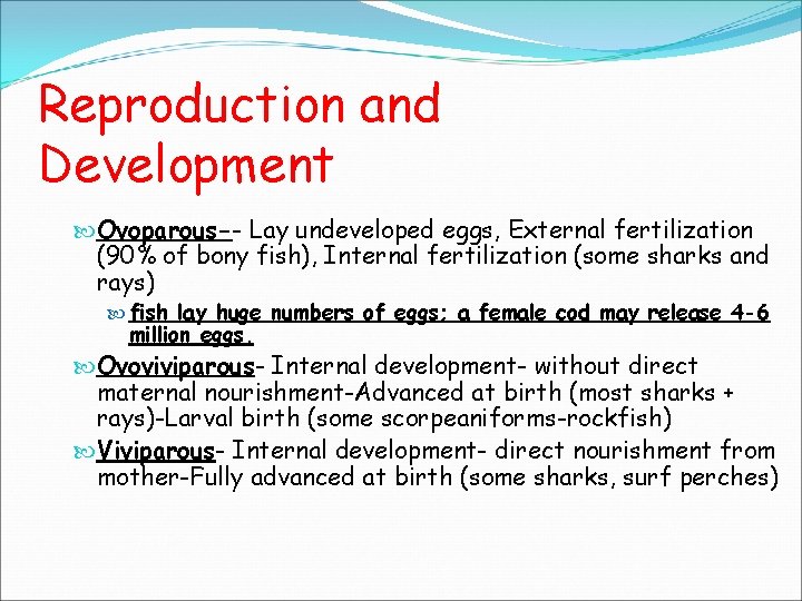 Reproduction and Development Ovoparous-- Lay undeveloped eggs, External fertilization (90% of bony fish), Internal Reproduction and Development Ovoparous-- Lay undeveloped eggs, External fertilization (90% of bony fish), Internal