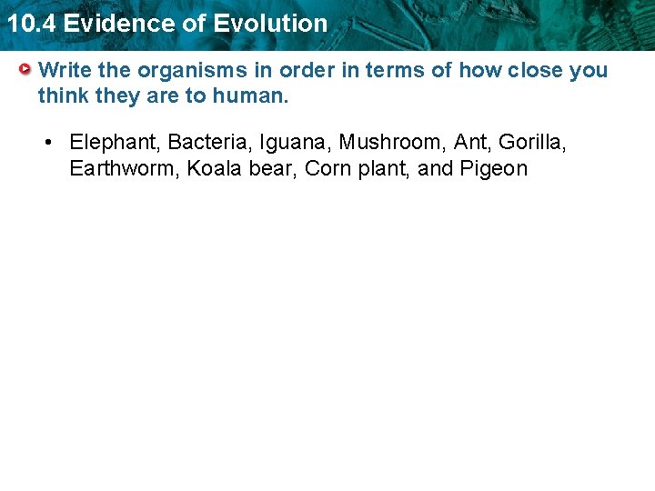 10. 4 Evidence of Evolution Write the organisms in order in terms of how