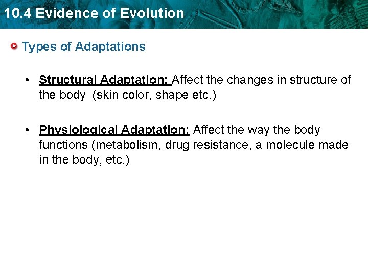 10. 4 Evidence of Evolution Types of Adaptations • Structural Adaptation: Affect the changes