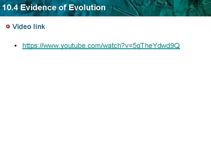10. 4 Evidence of Evolution Video link • https: //www. youtube. com/watch? v=5 q.