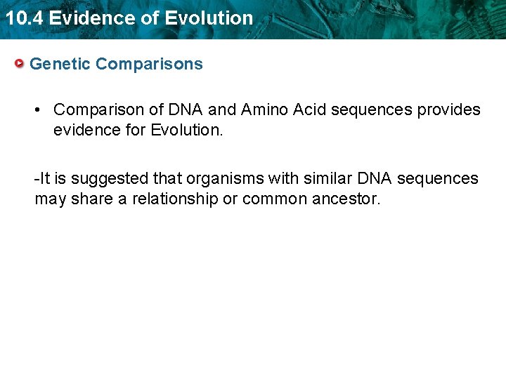 10. 4 Evidence of Evolution Genetic Comparisons • Comparison of DNA and Amino Acid