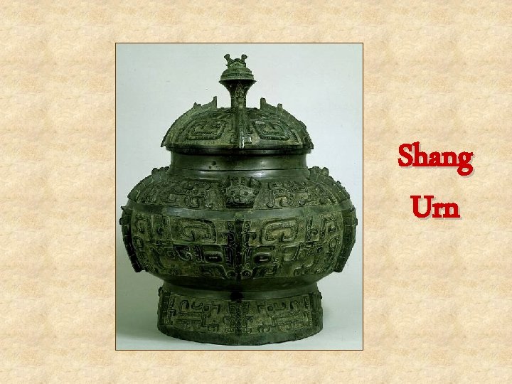 Shang Urn 