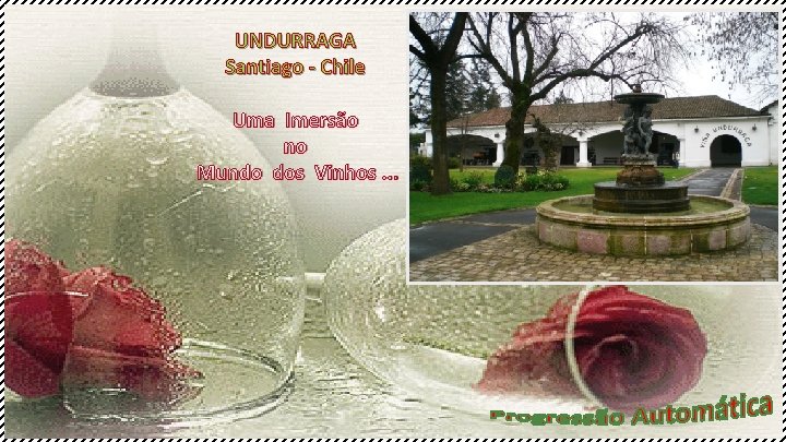 UNDURRAGA Santiago - Chile Uma Imersão no Mundo dos Vinhos. . . 