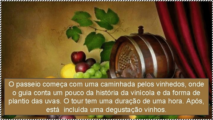 O passeio começa com uma caminhada pelos vinhedos, onde o guia conta um pouco