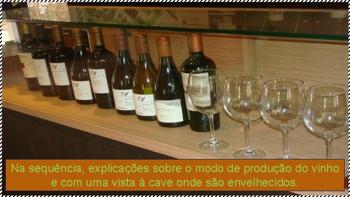 Na sequência, explicações sobre o modo de produção do vinho e com uma vista