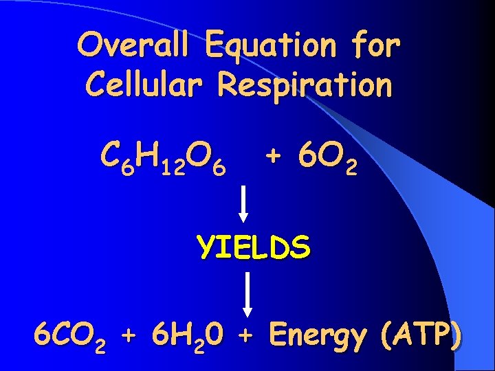 Overall Equation for Cellular Respiration C 6 H 12 O 6 + 6 O