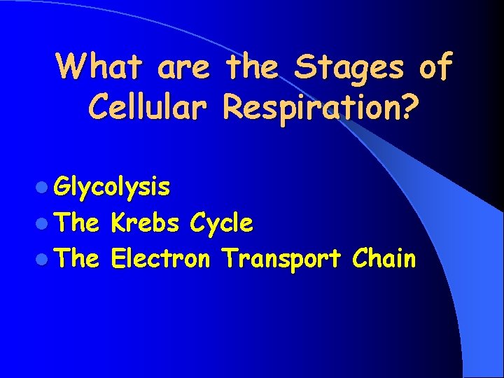 What are the Stages of Cellular Respiration? l Glycolysis l The Krebs Cycle l