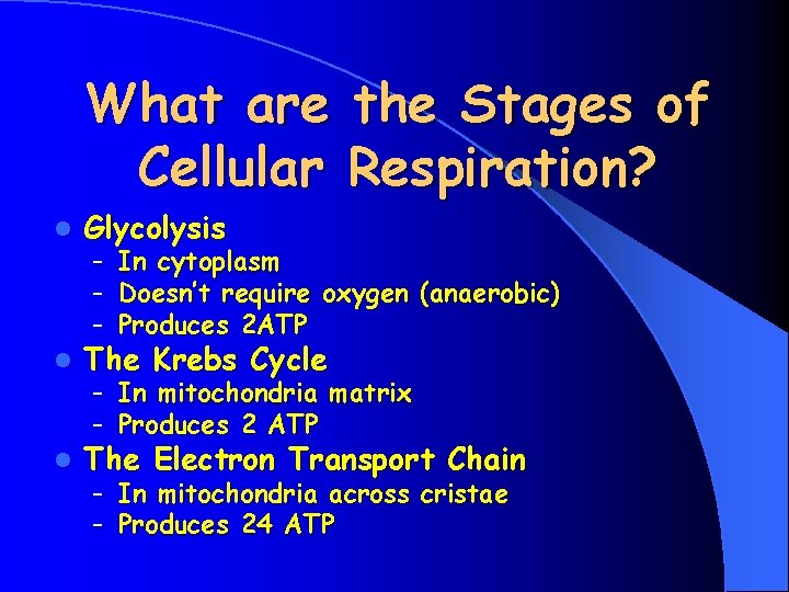What are the Stages of Cellular Respiration? l Glycolysis l The Krebs Cycle l