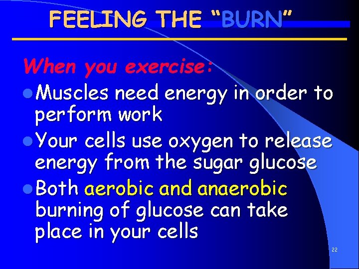 FEELING THE “BURN” When you exercise: l Muscles need energy in order to perform