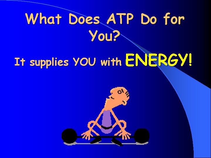 What Does ATP Do for You? It supplies YOU with ENERGY! 