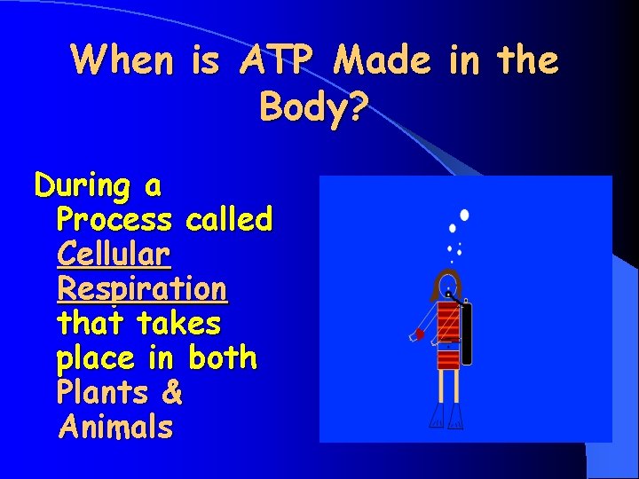 When is ATP Made in the Body? During a Process called Cellular Respiration that