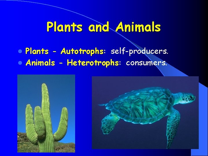 Plants and Animals Plants - Autotrophs: Autotrophs self-producers. l Animals - Heterotrophs: consumers. l