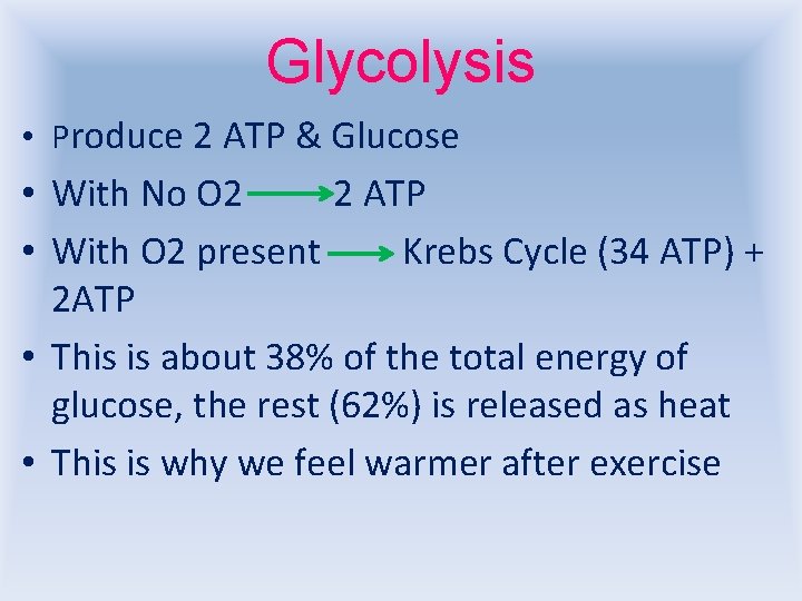 Glycolysis • Produce 2 ATP & Glucose • With No O 2 2 ATP