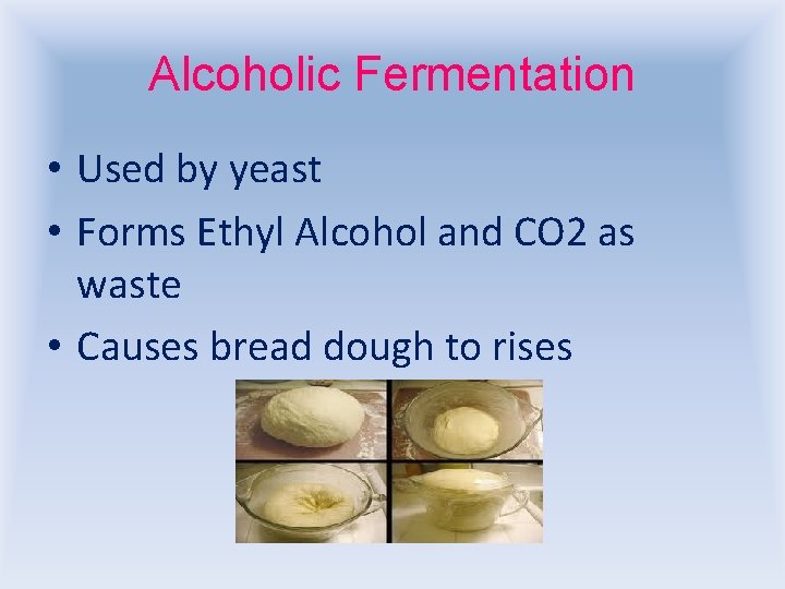 Alcoholic Fermentation • Used by yeast • Forms Ethyl Alcohol and CO 2 as