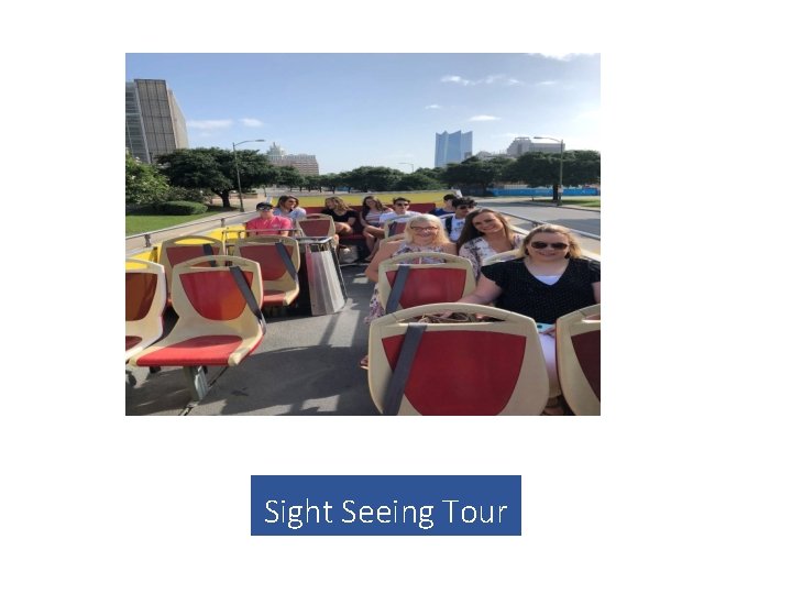 Sight Seeing Tour 