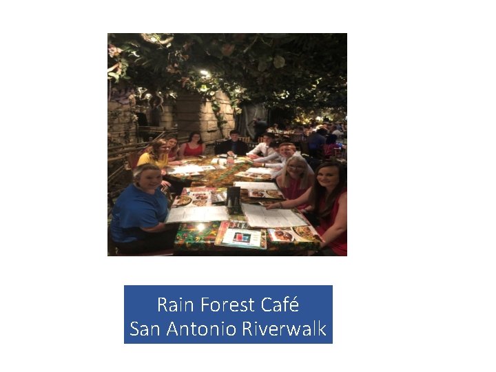 Rain Forest Café San Antonio Riverwalk 