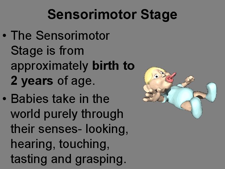 Sensorimotor Stage • The Sensorimotor Stage is from approximately birth to 2 years of