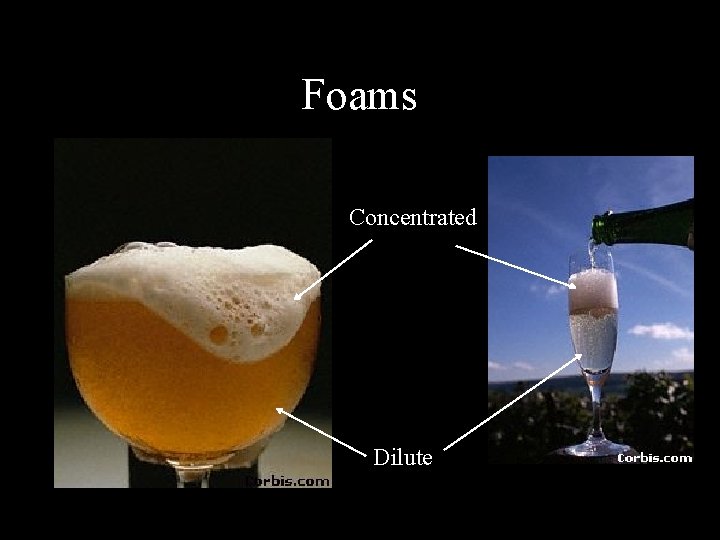 Foams Concentrated Dilute 