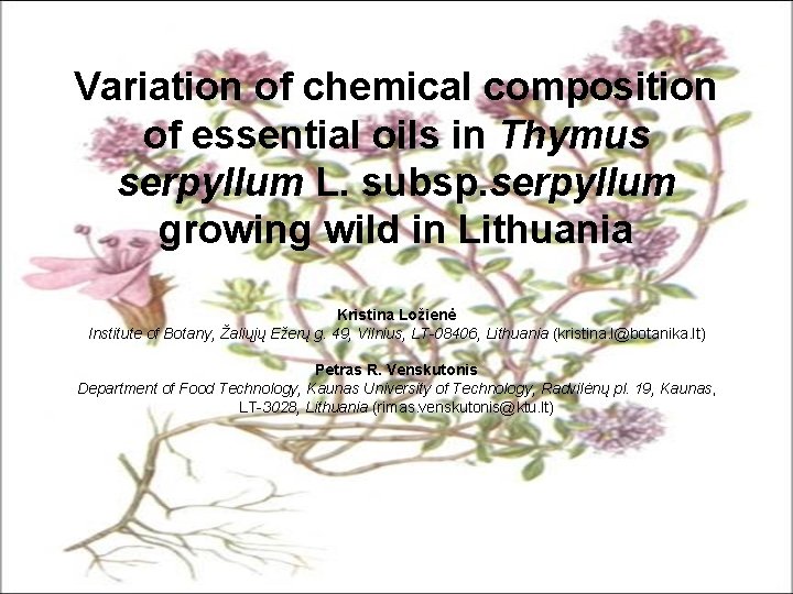 Variation of chemical composition of essential oils in Thymus serpyllum L. subsp. serpyllum growing