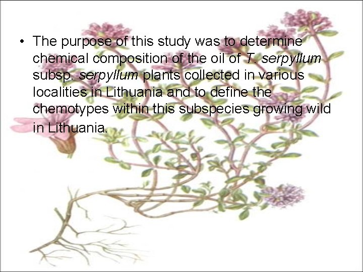  • The purpose of this study was to determine chemical composition of the