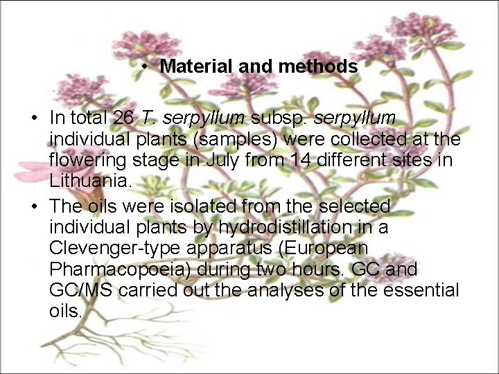  • Material and methods • In total 26 T. serpyllum subsp. serpyllum individual