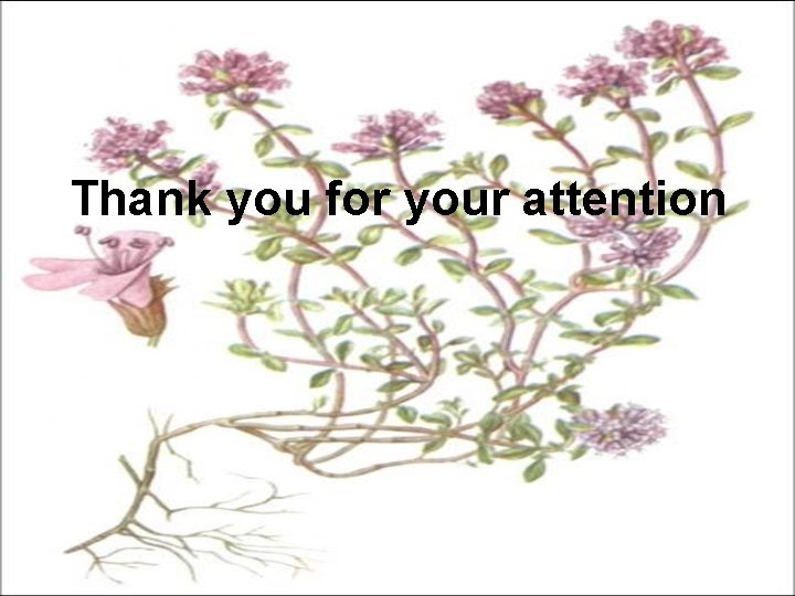 Thank you for your attention 